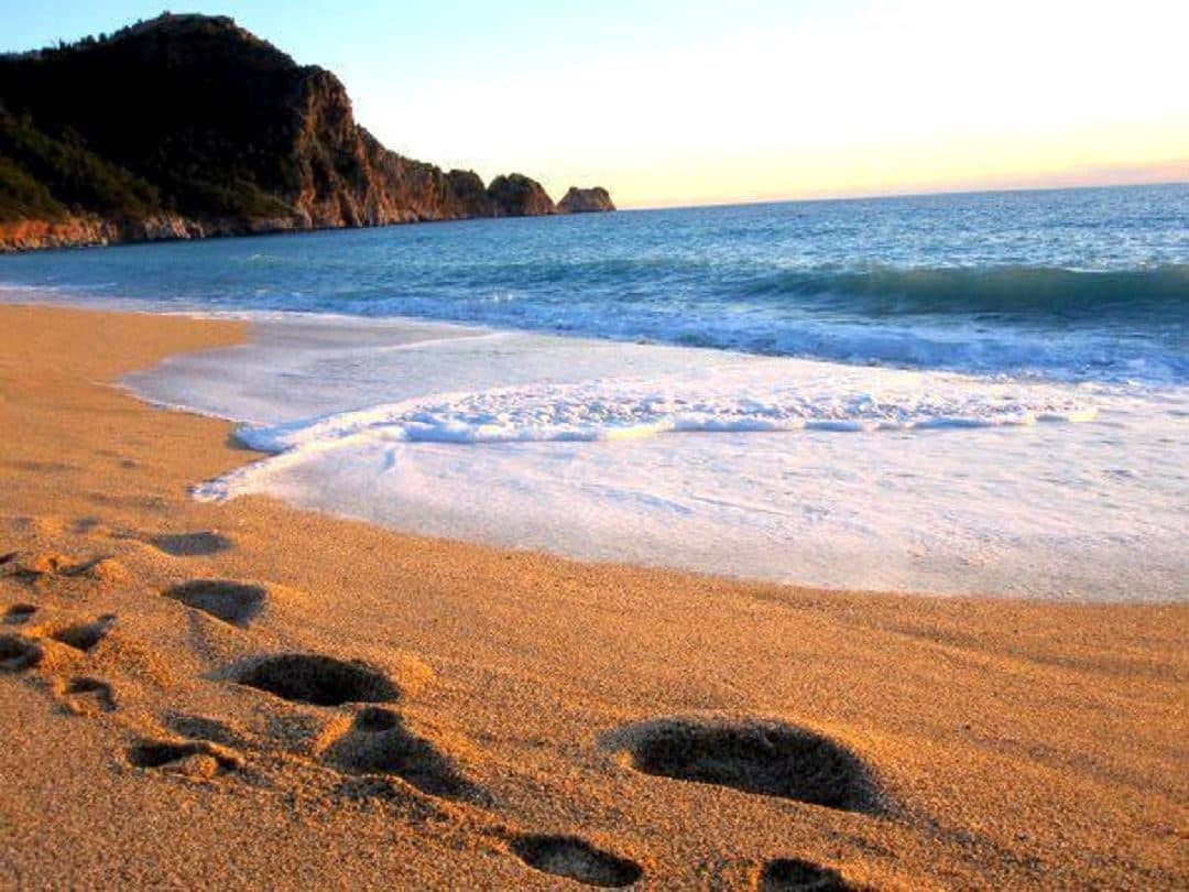beach-beach