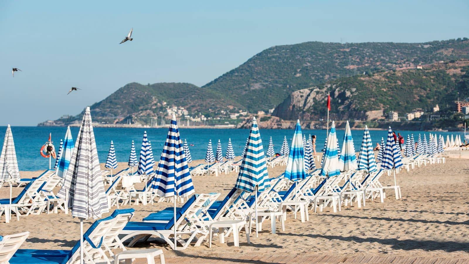 beach-beach