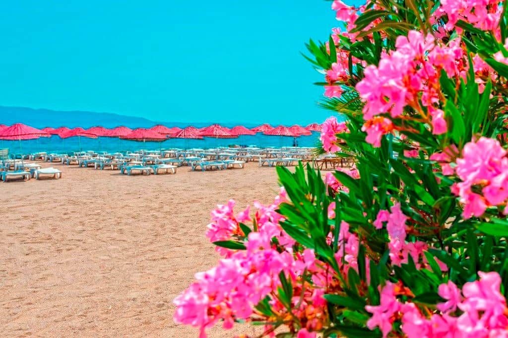 beach-beach