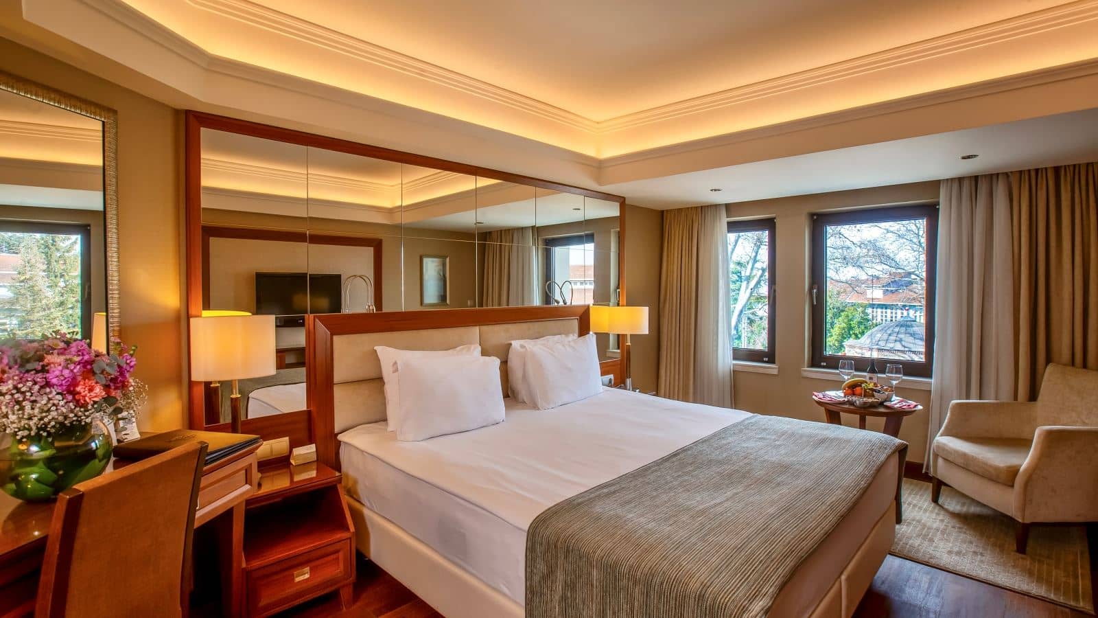 rooms-executive-suit