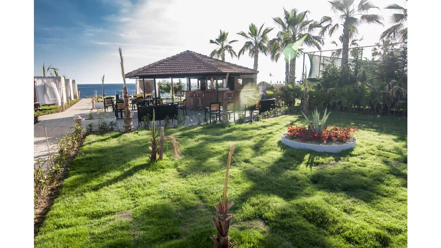 bars-beach-bar