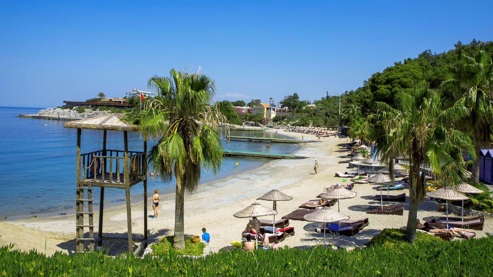 beach-beach