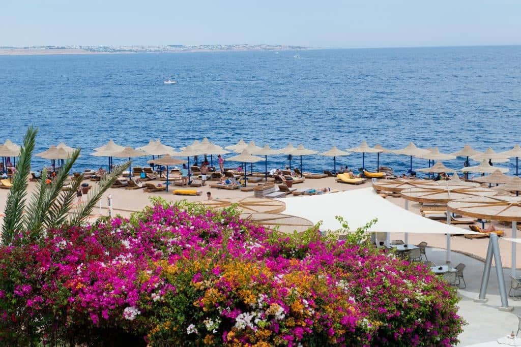 beach-beach