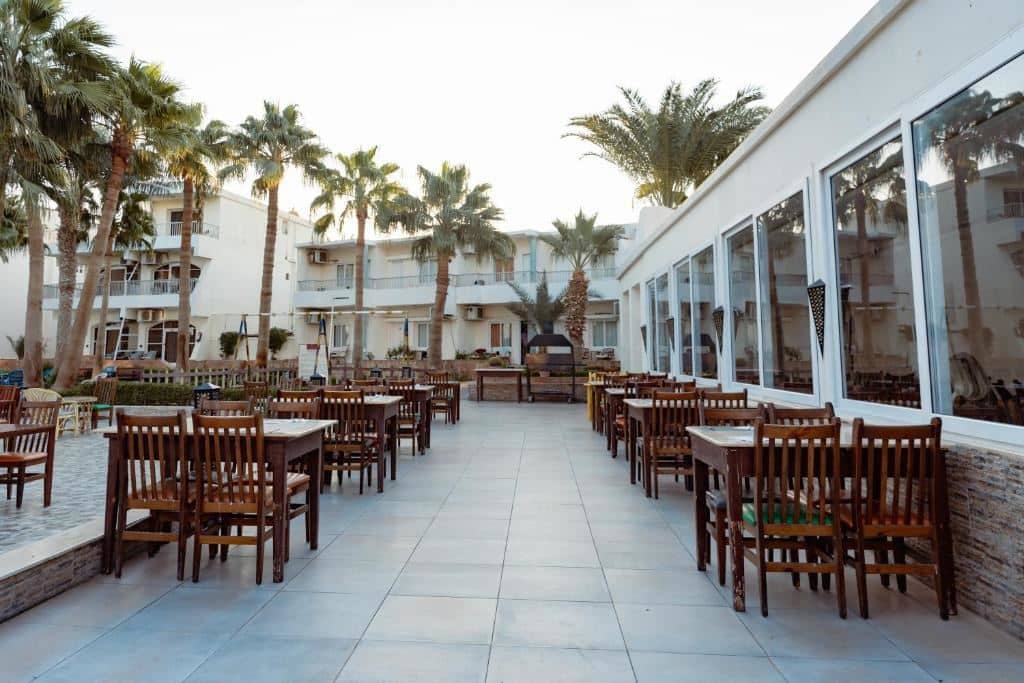 restaurants-olives-restaurant