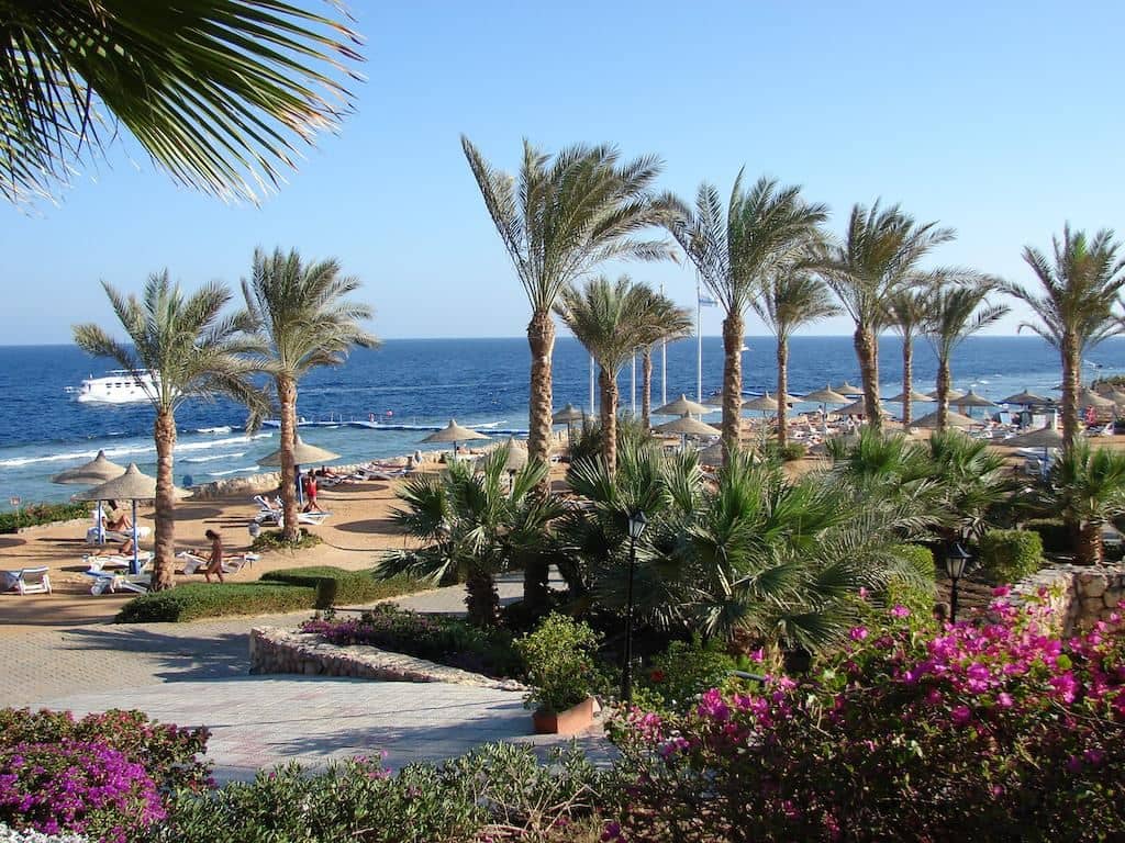 beach-beach