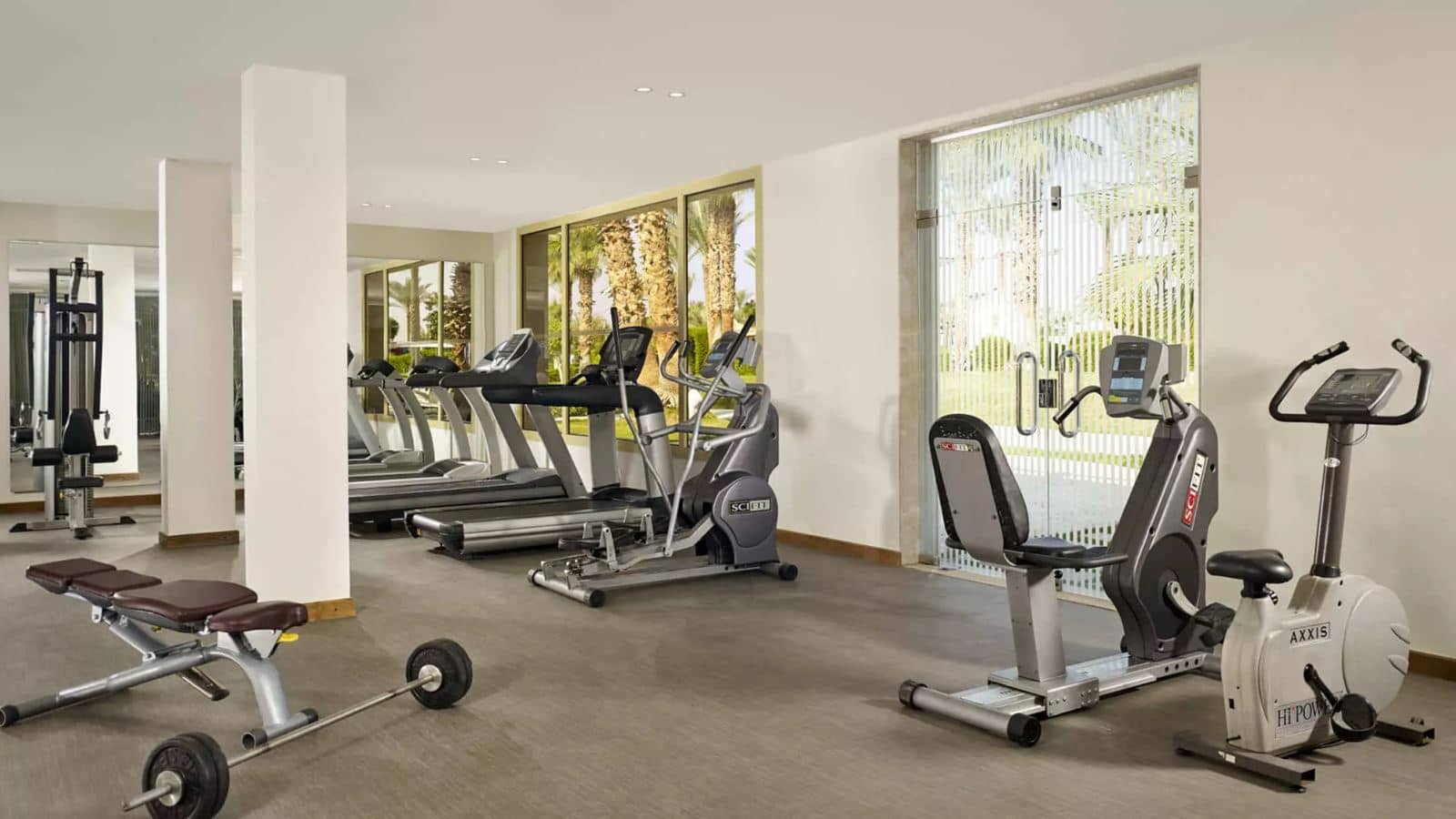 sport-sport