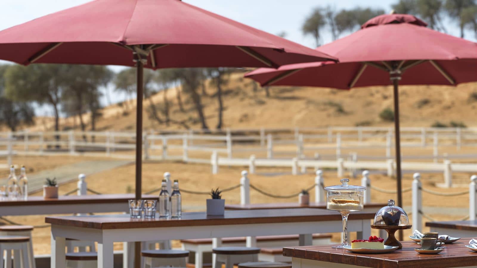 restaurants-paddock-cafe