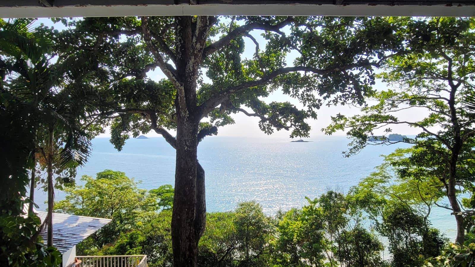 rooms-deluxe-suite-ocean-view
