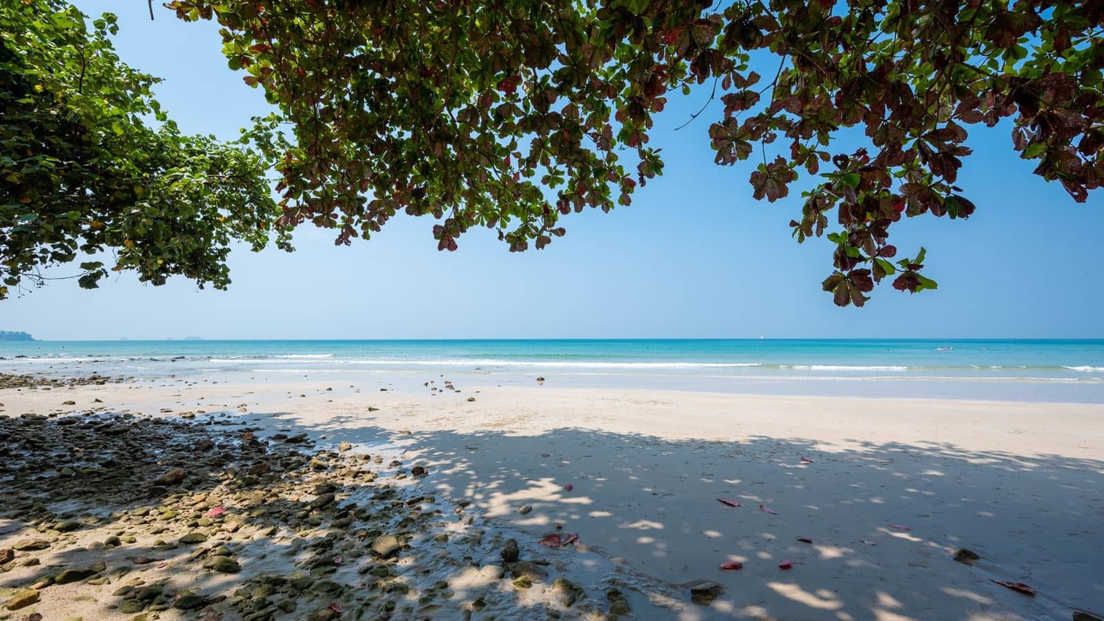 beach-beach