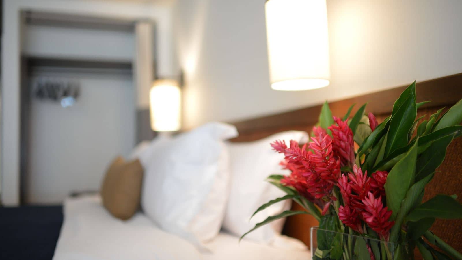 rooms-premier-oceanview