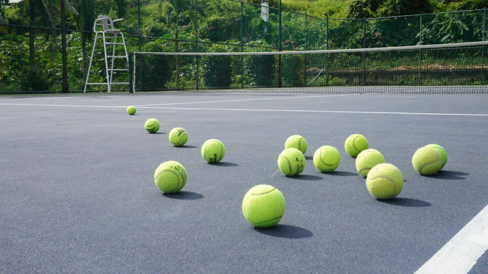 sport-sport