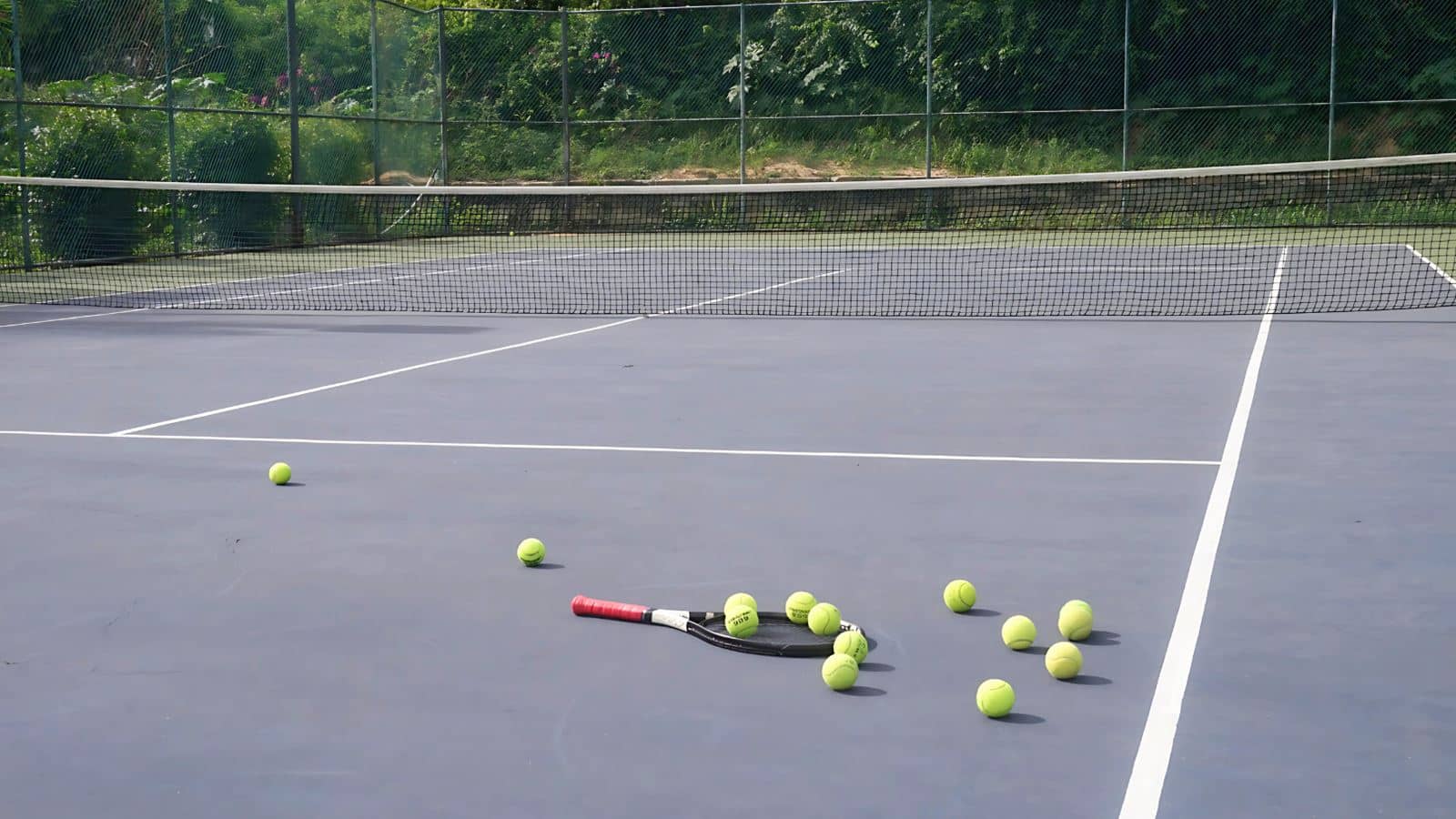 sport-sport