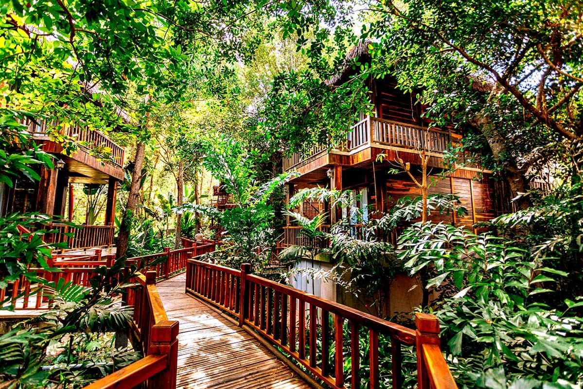 rooms-jungle-bungalow-double