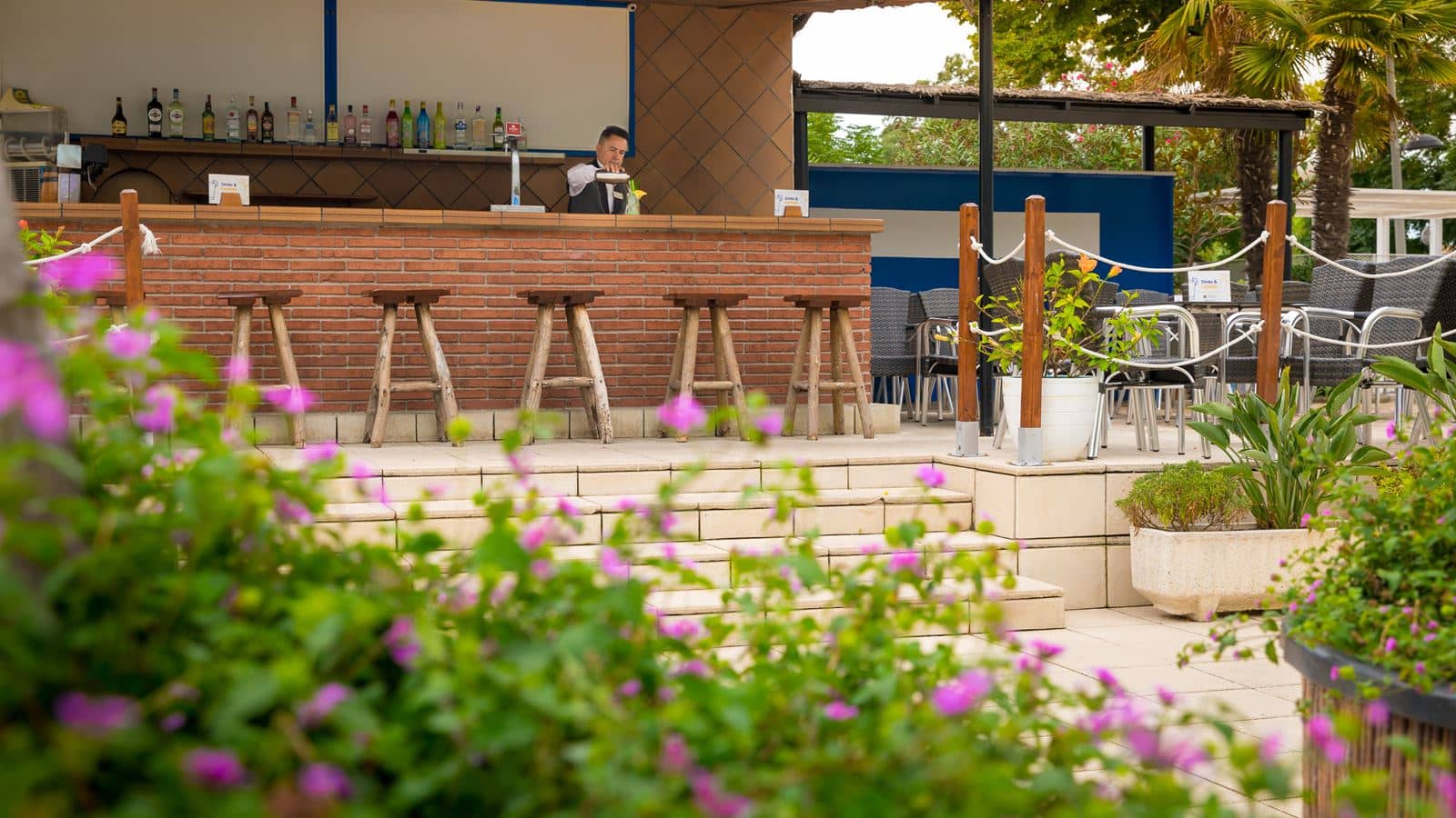 bars-pool-bar