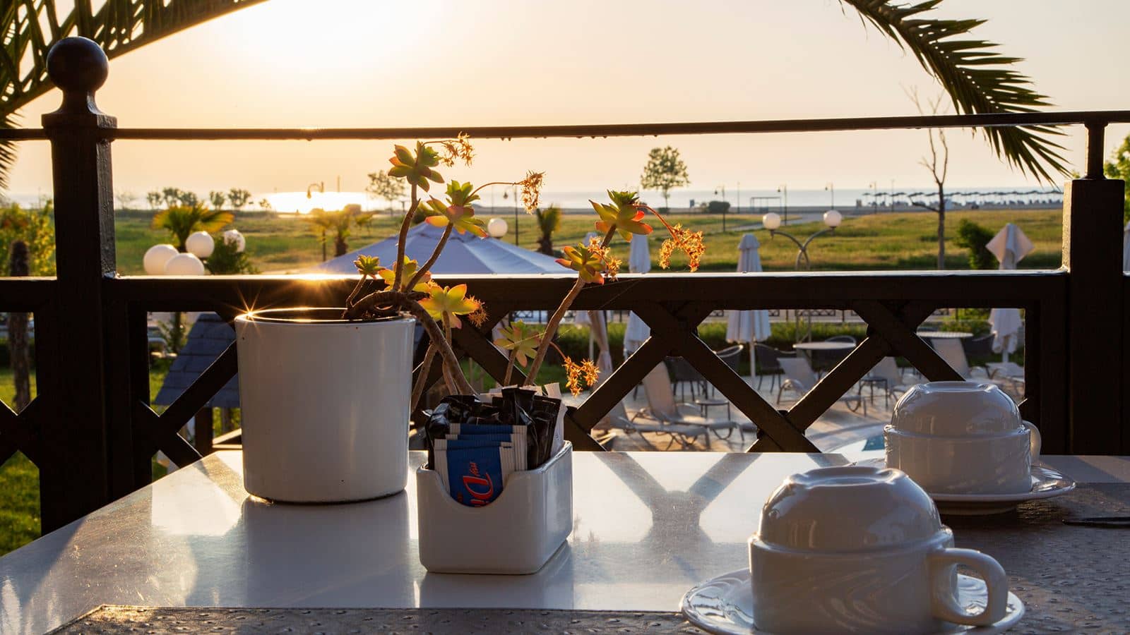 bars-hibiscus-bar