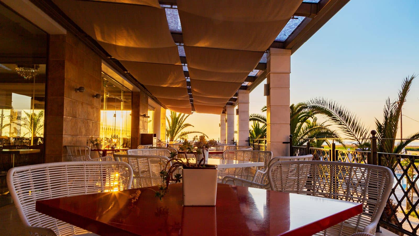 bars-hibiscus-bar