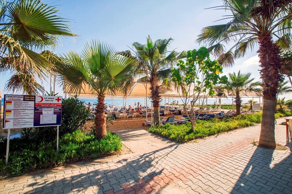 beach-beach