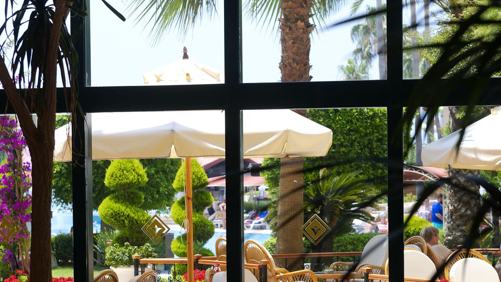 restaurants-pascha