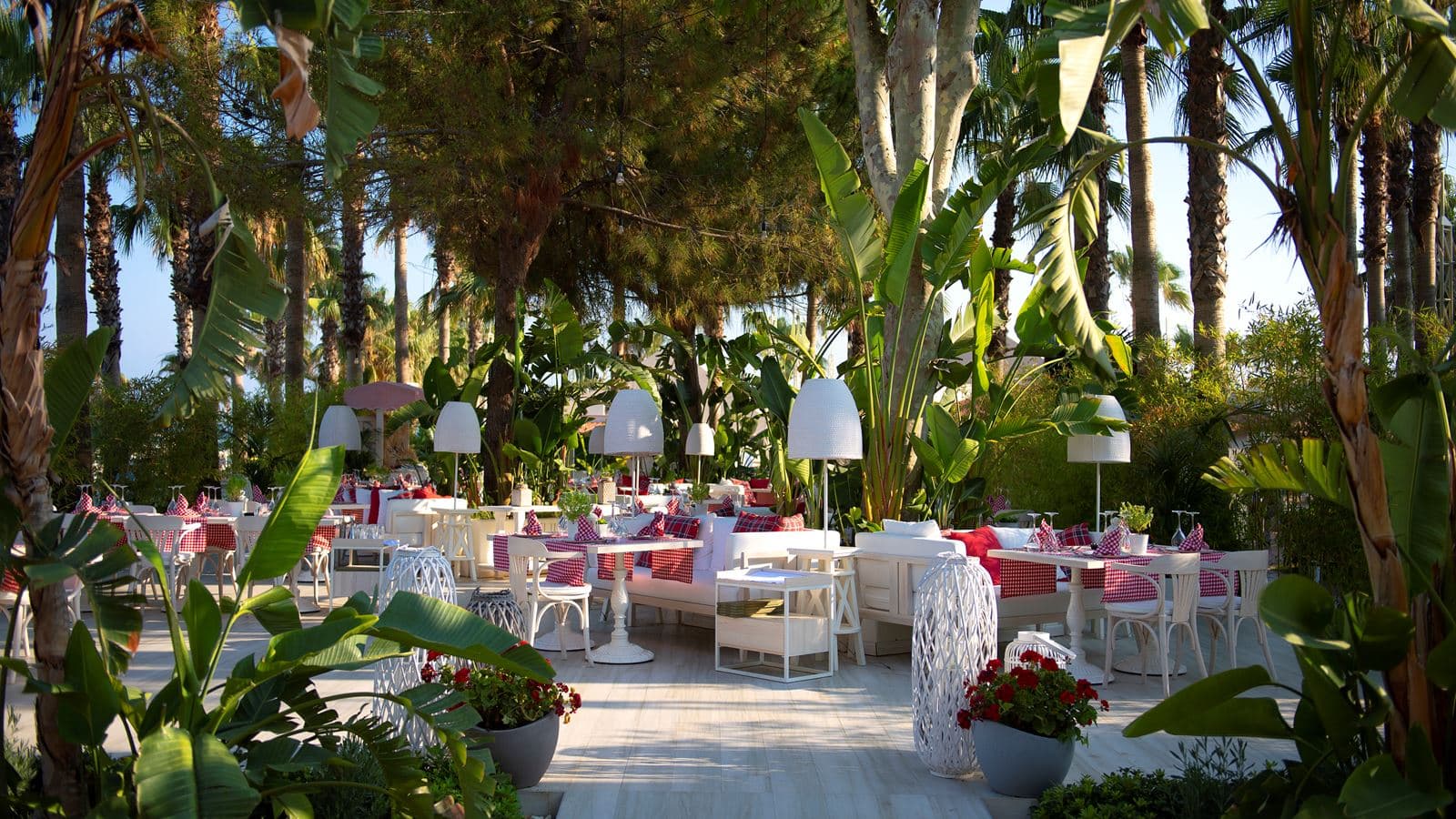 restaurants-olive