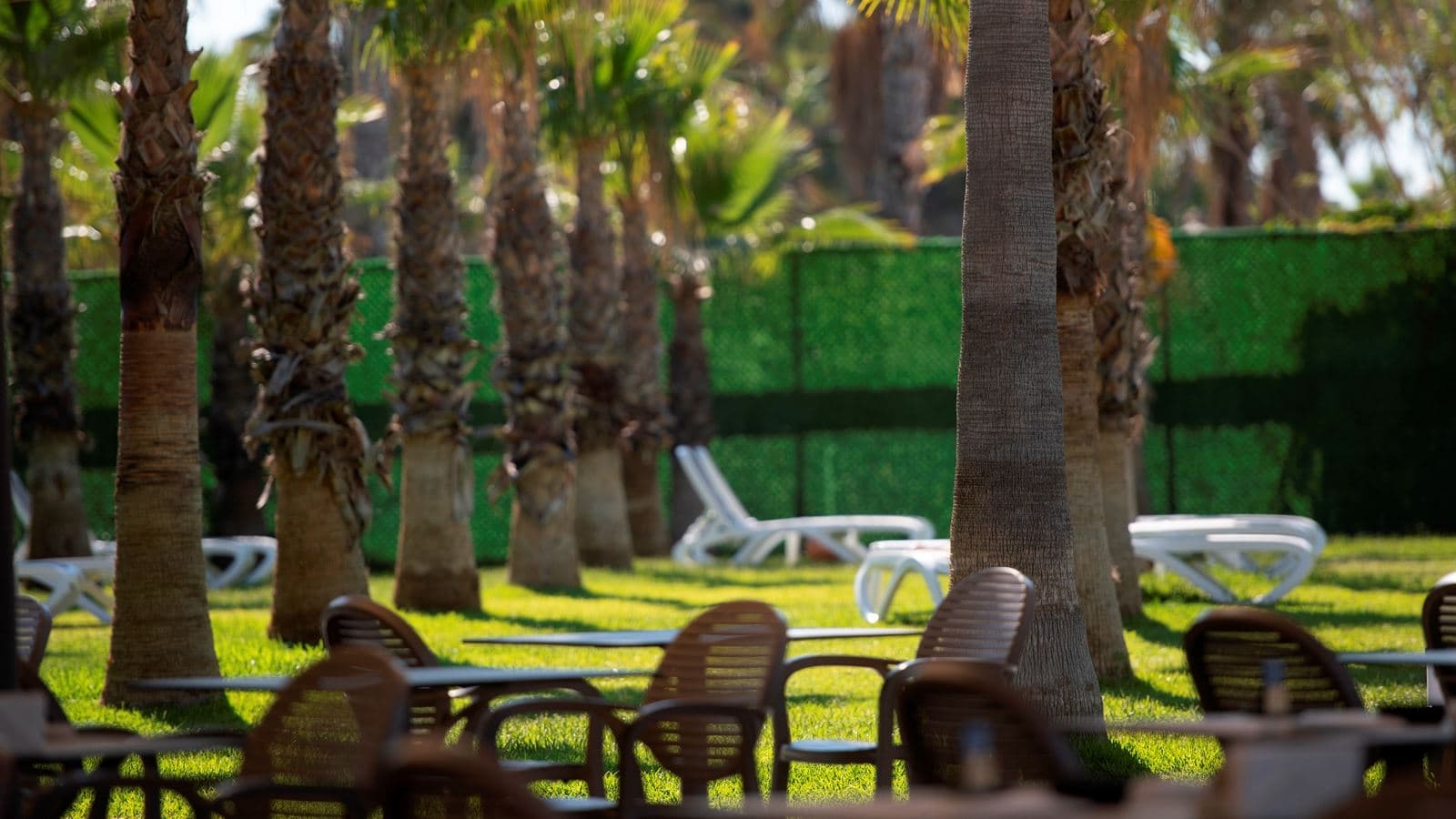 bars-kumm-beach-bar