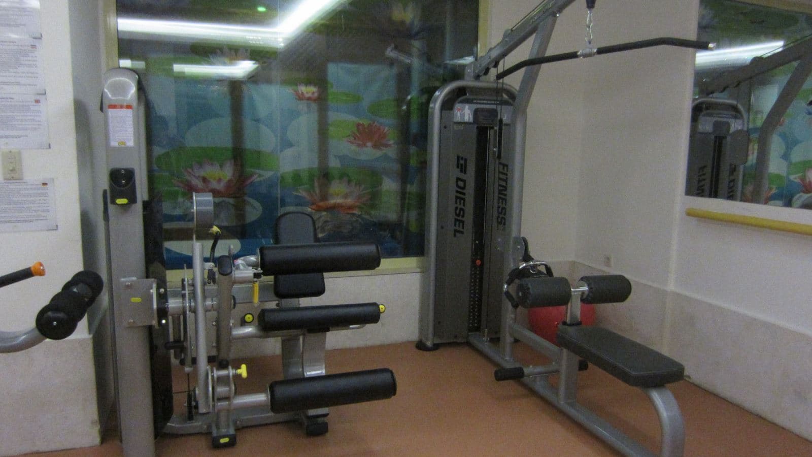 sport-sport