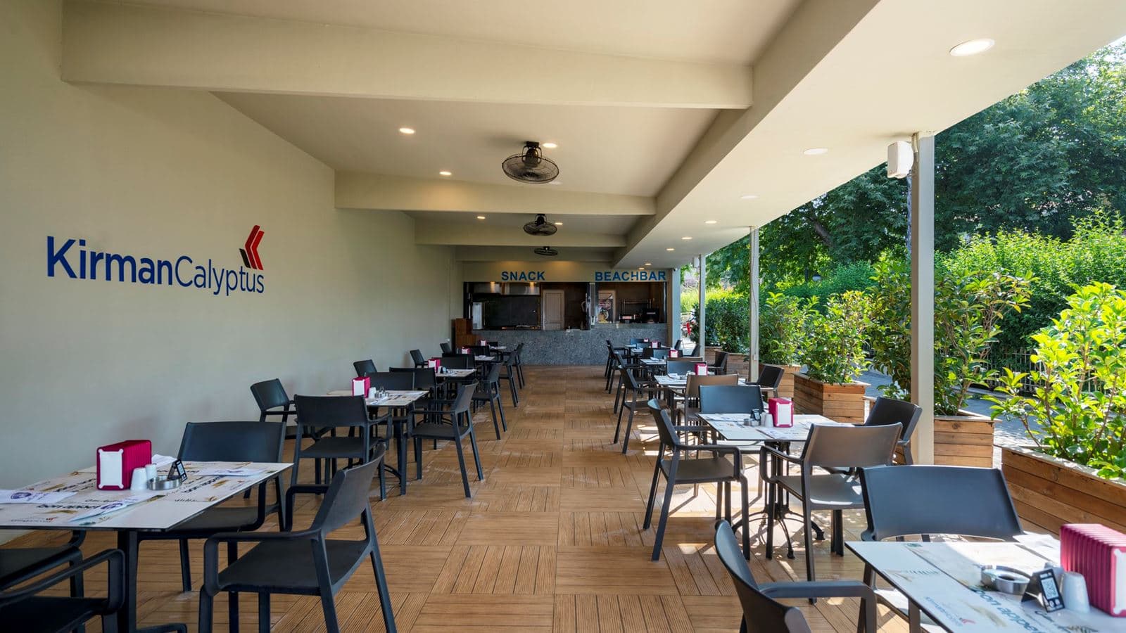 bars-beach-bar