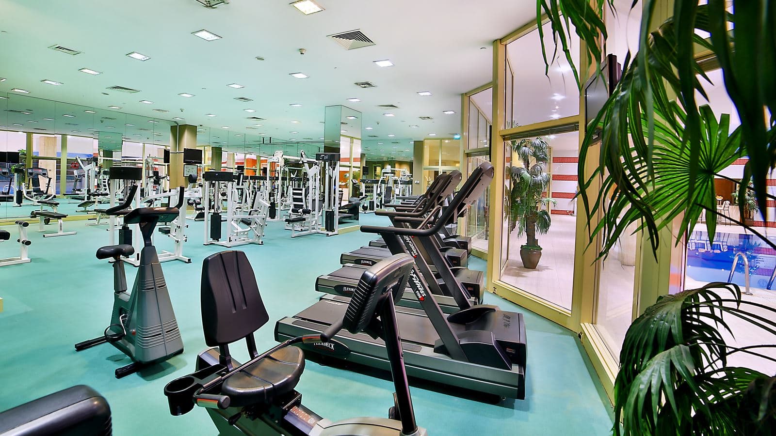 sport-sport