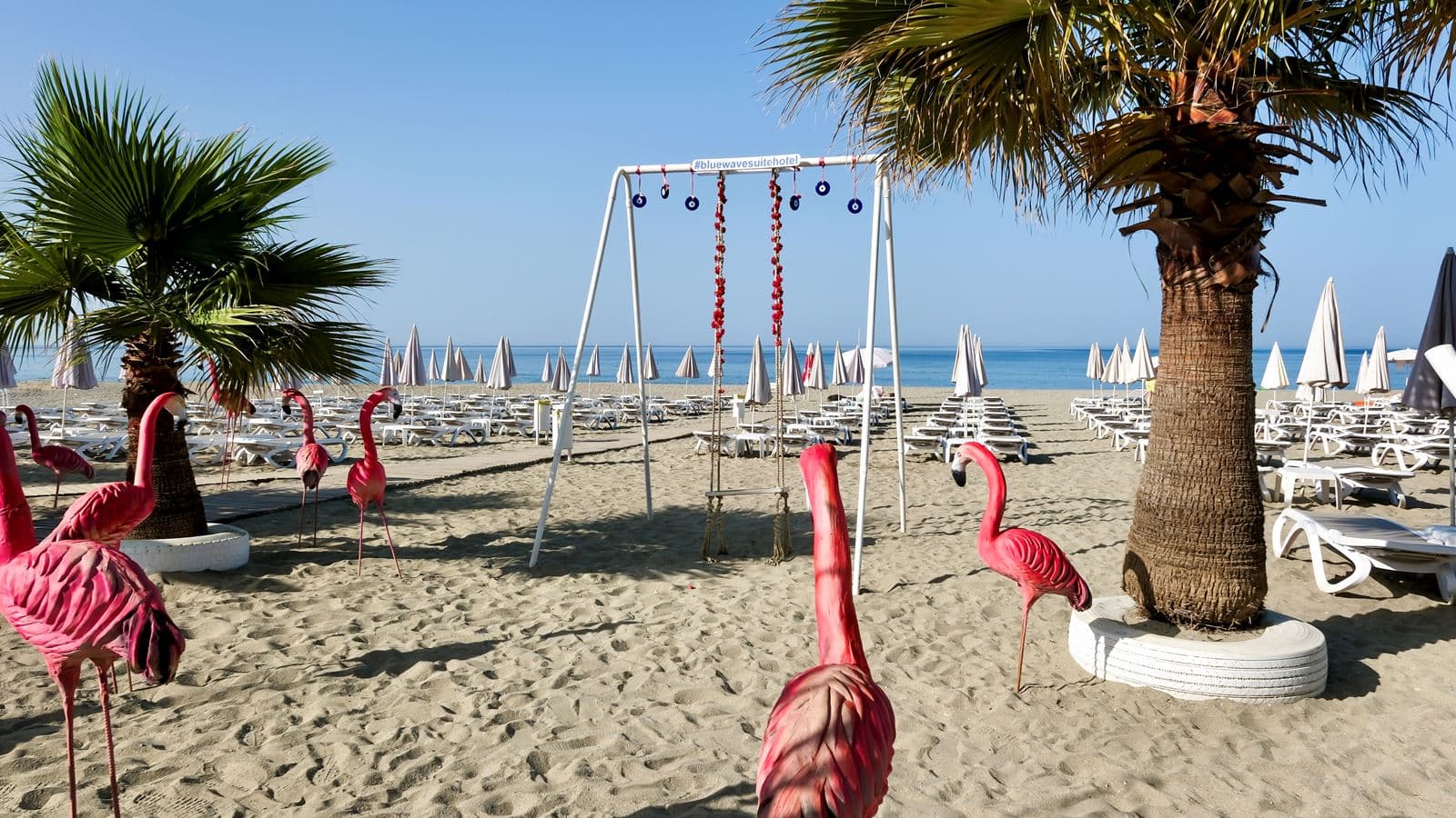 beach-beach