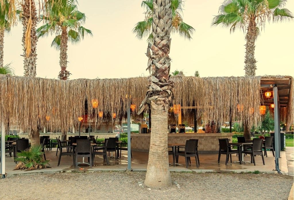 bars-beach-bar