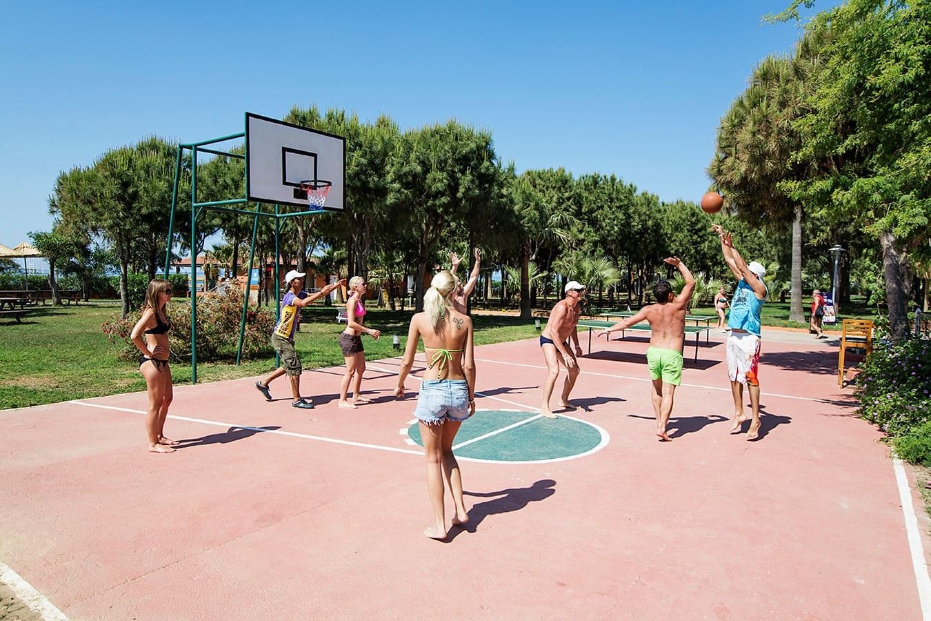 sport-sport