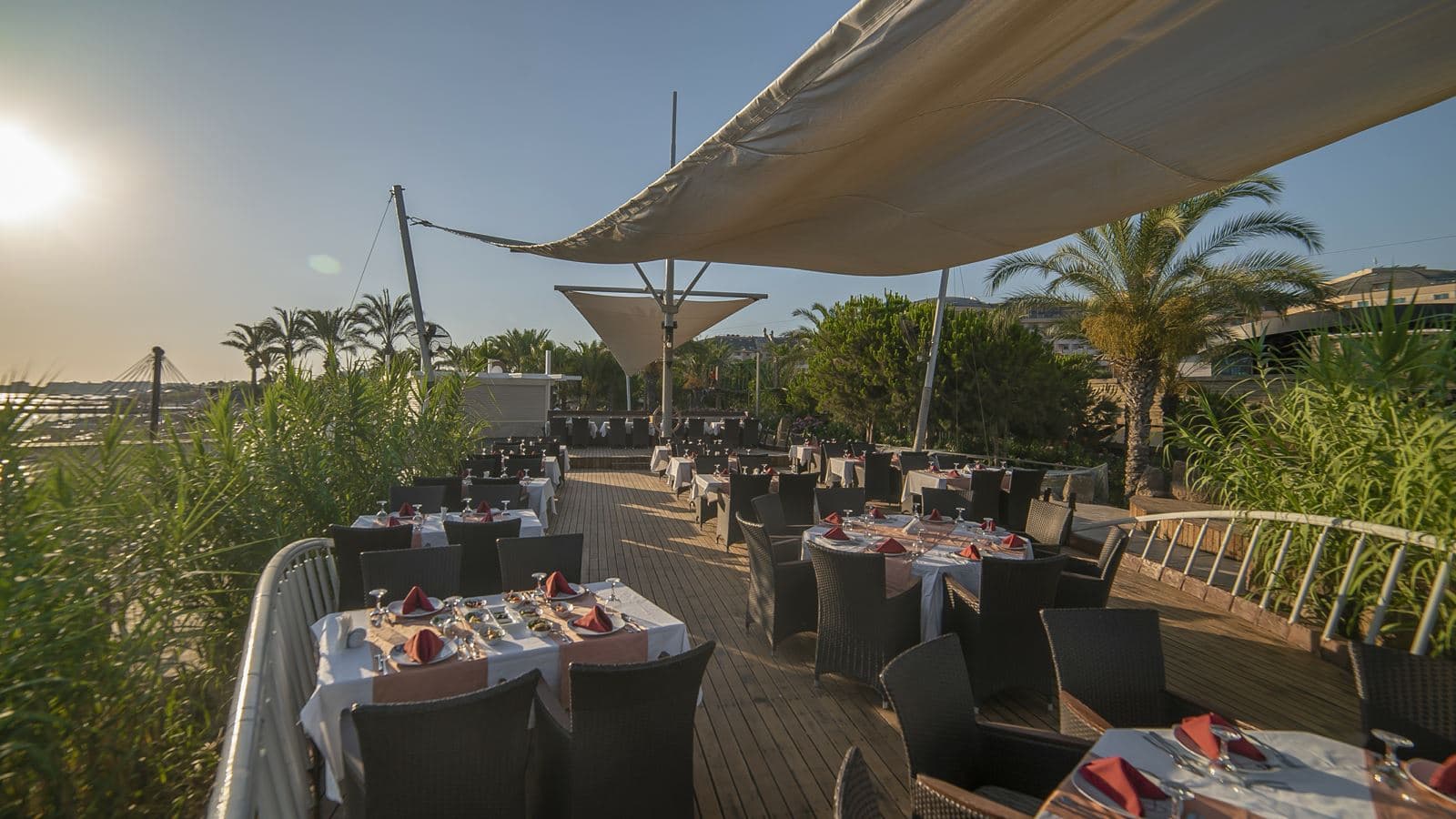 restaurants-delphin-restaurant