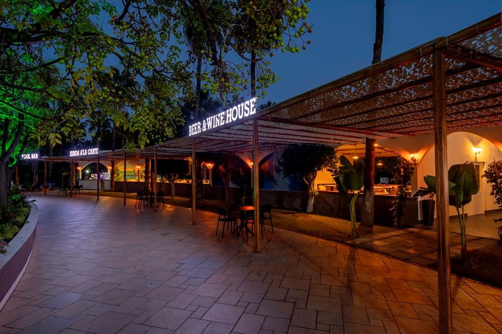 bars-disco-bar