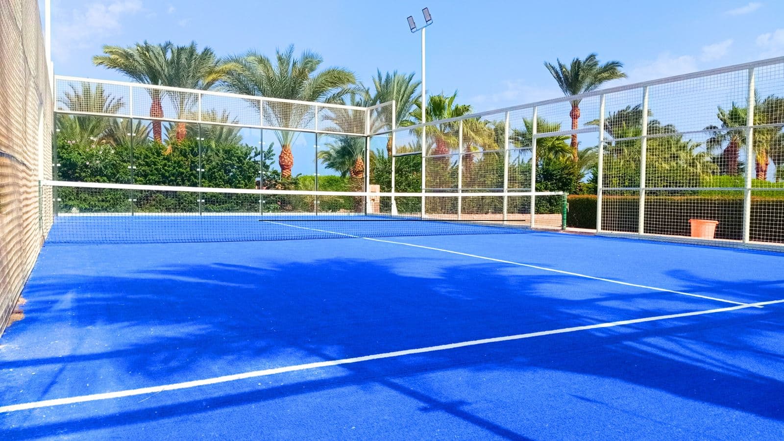 sport-sport