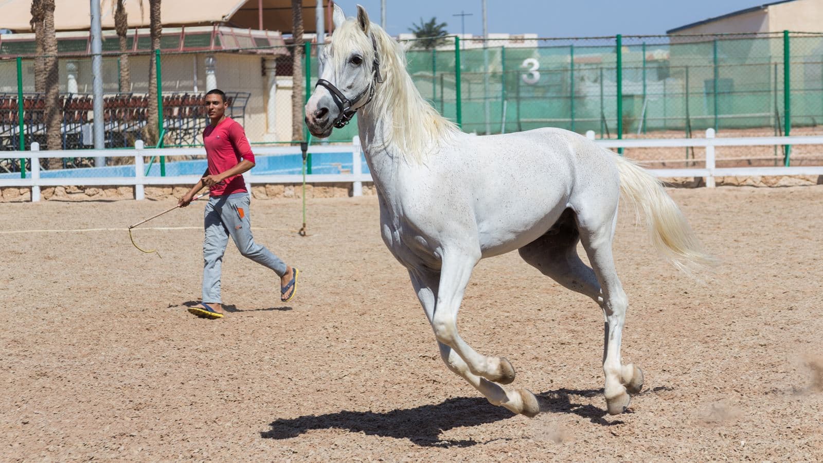 sport-sport