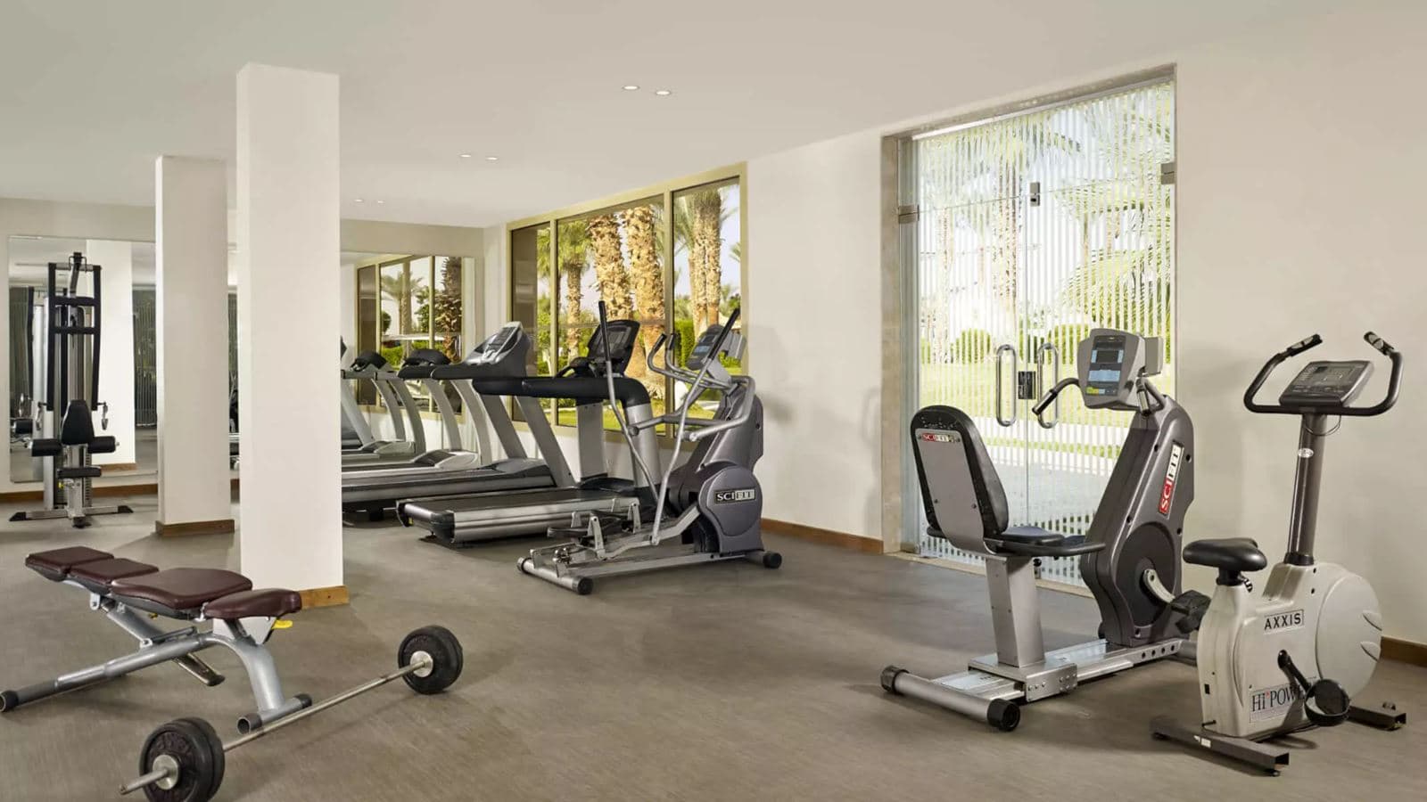 sport-sport