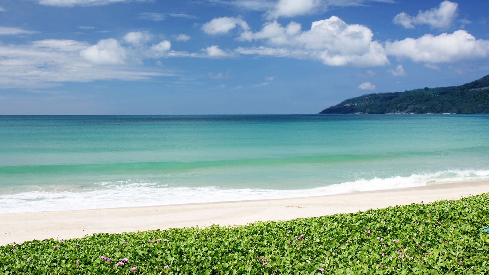beach-beach