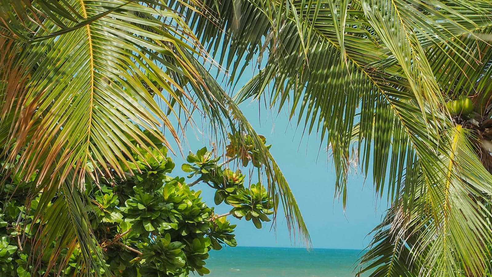 beach-beach