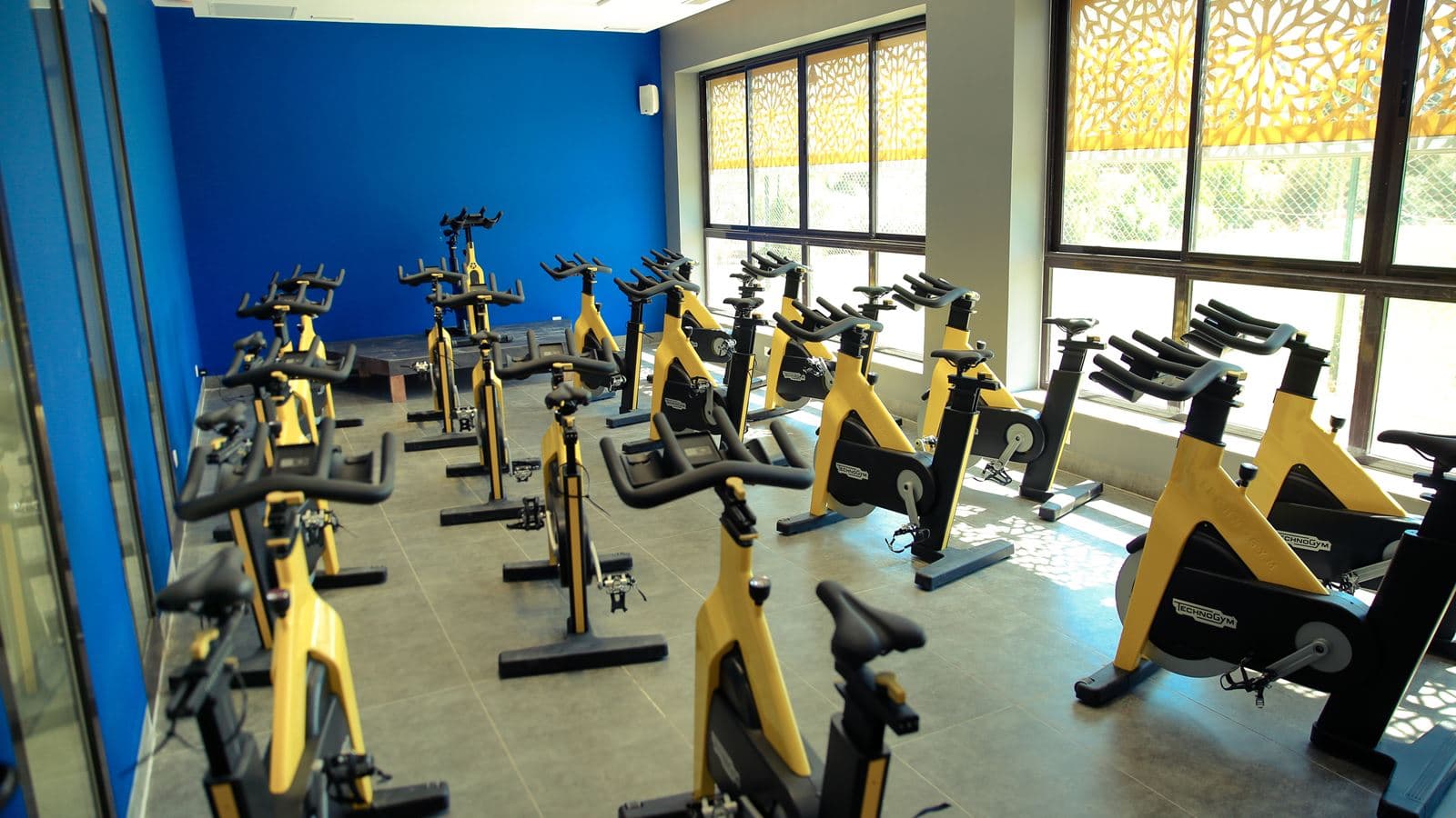 sport-sport