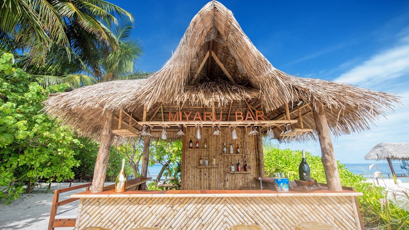 bars-miyaru-bar