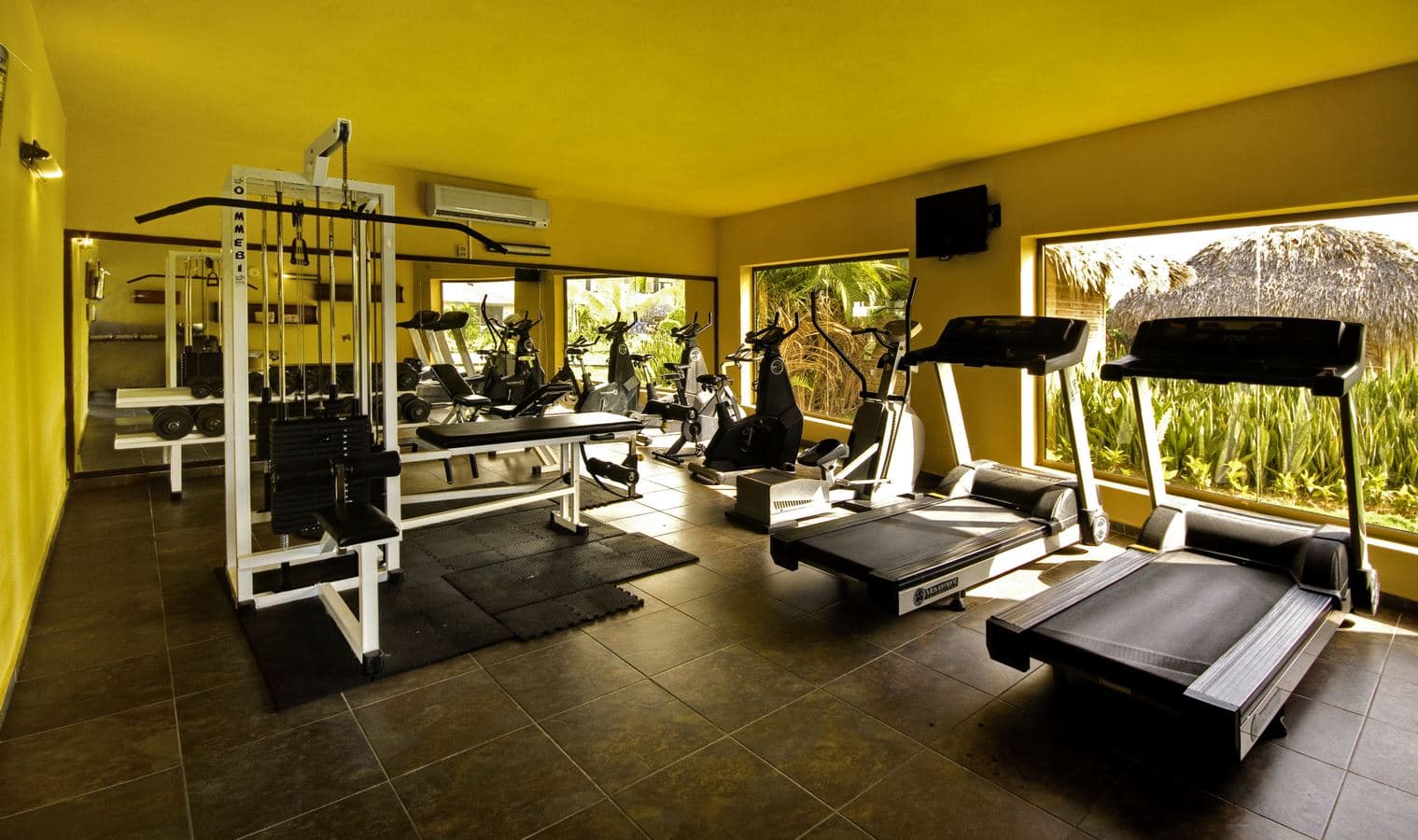 sport-sport