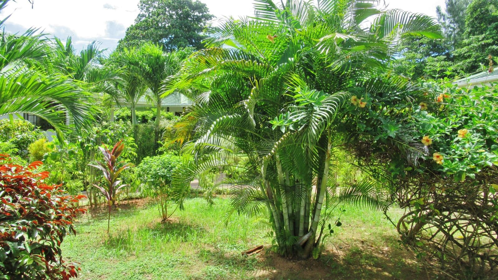 general-bungalow