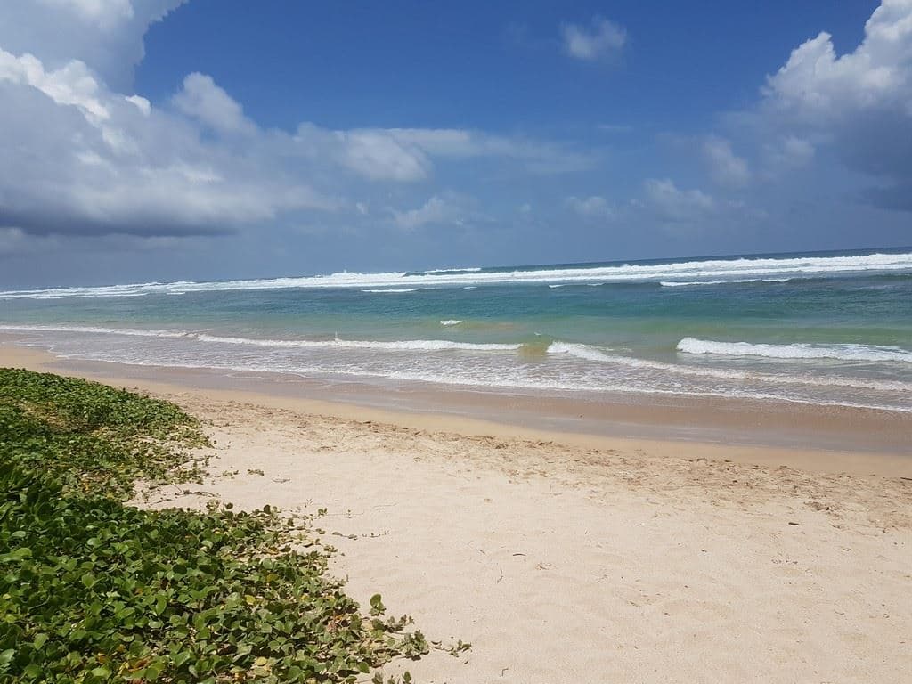 beach-beach