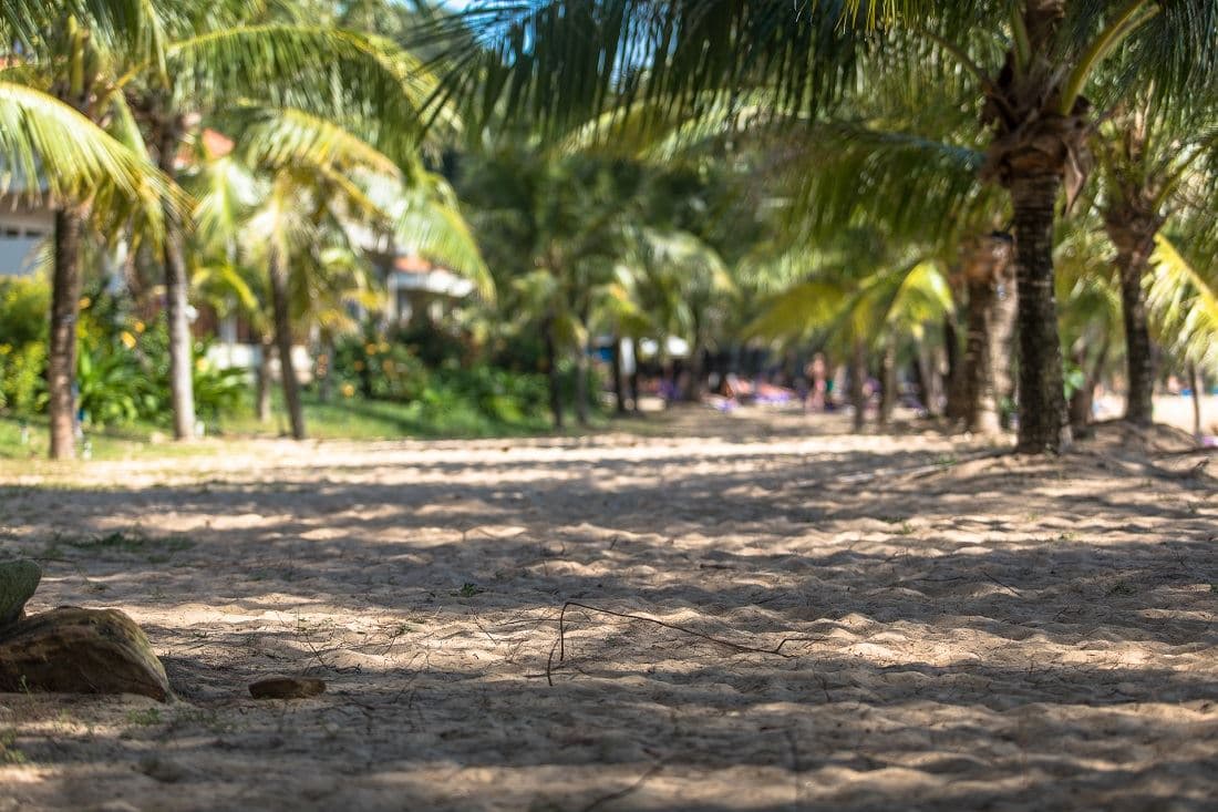 beach-beach