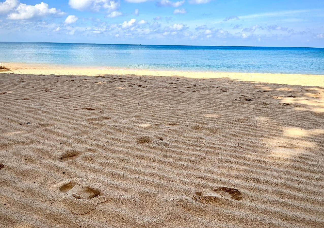 beach-beach