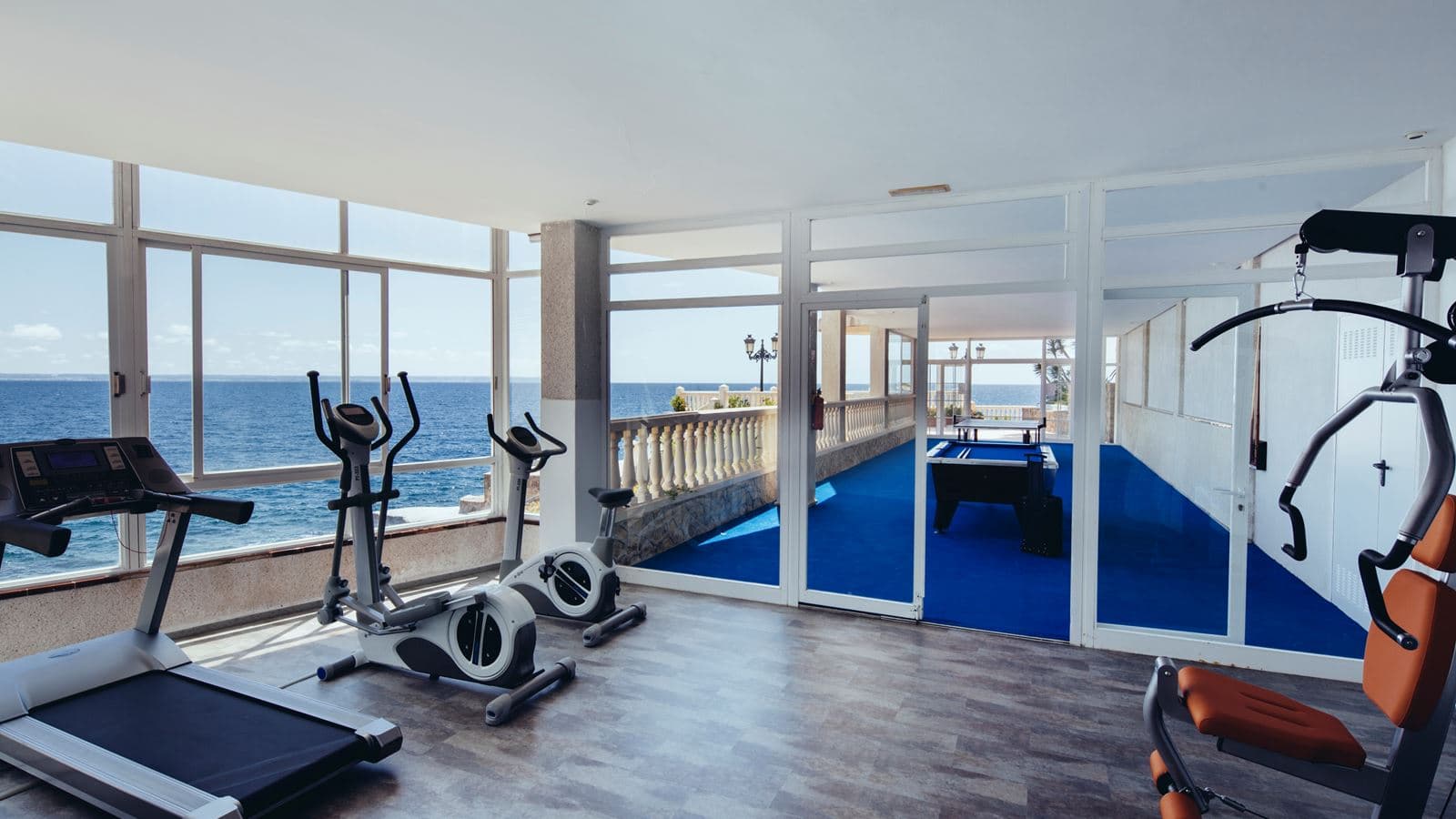 sport-sport