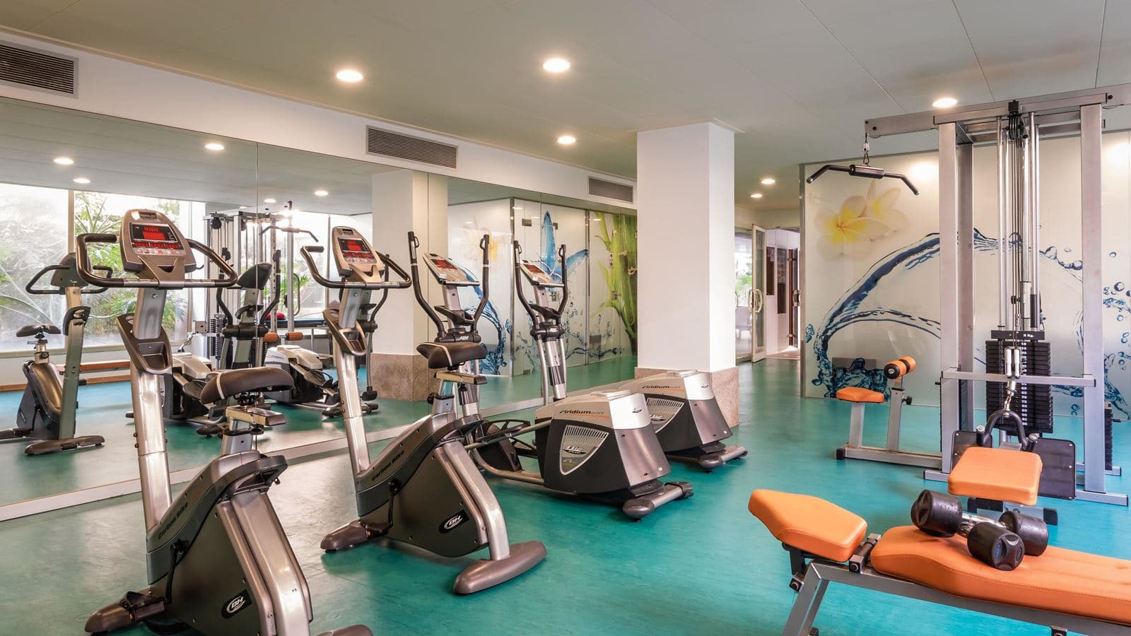 sport-sport