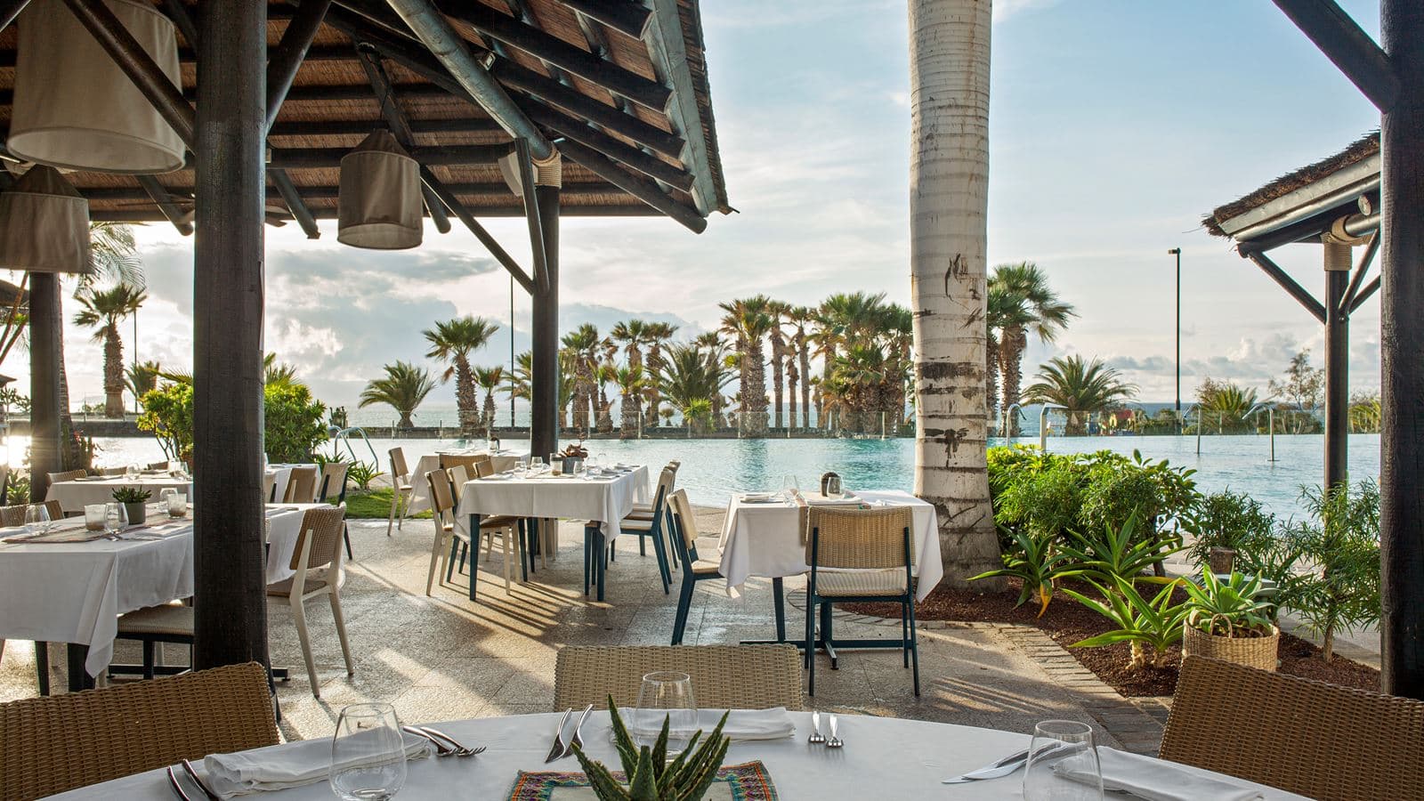 restaurants-agave