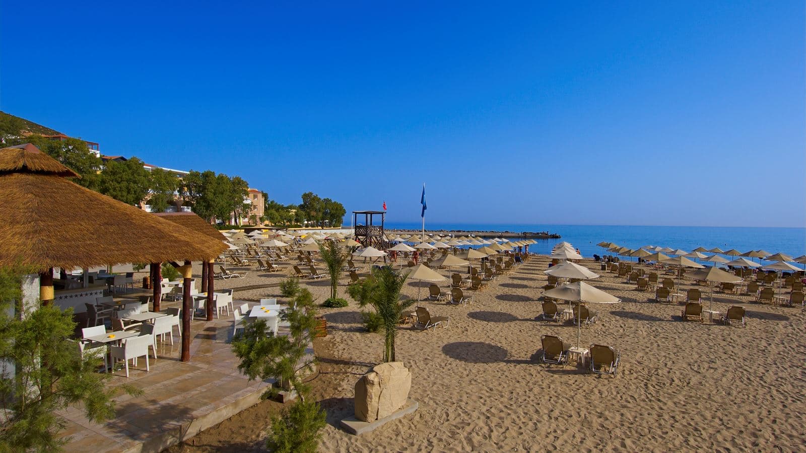 bars-frankie-beach-club