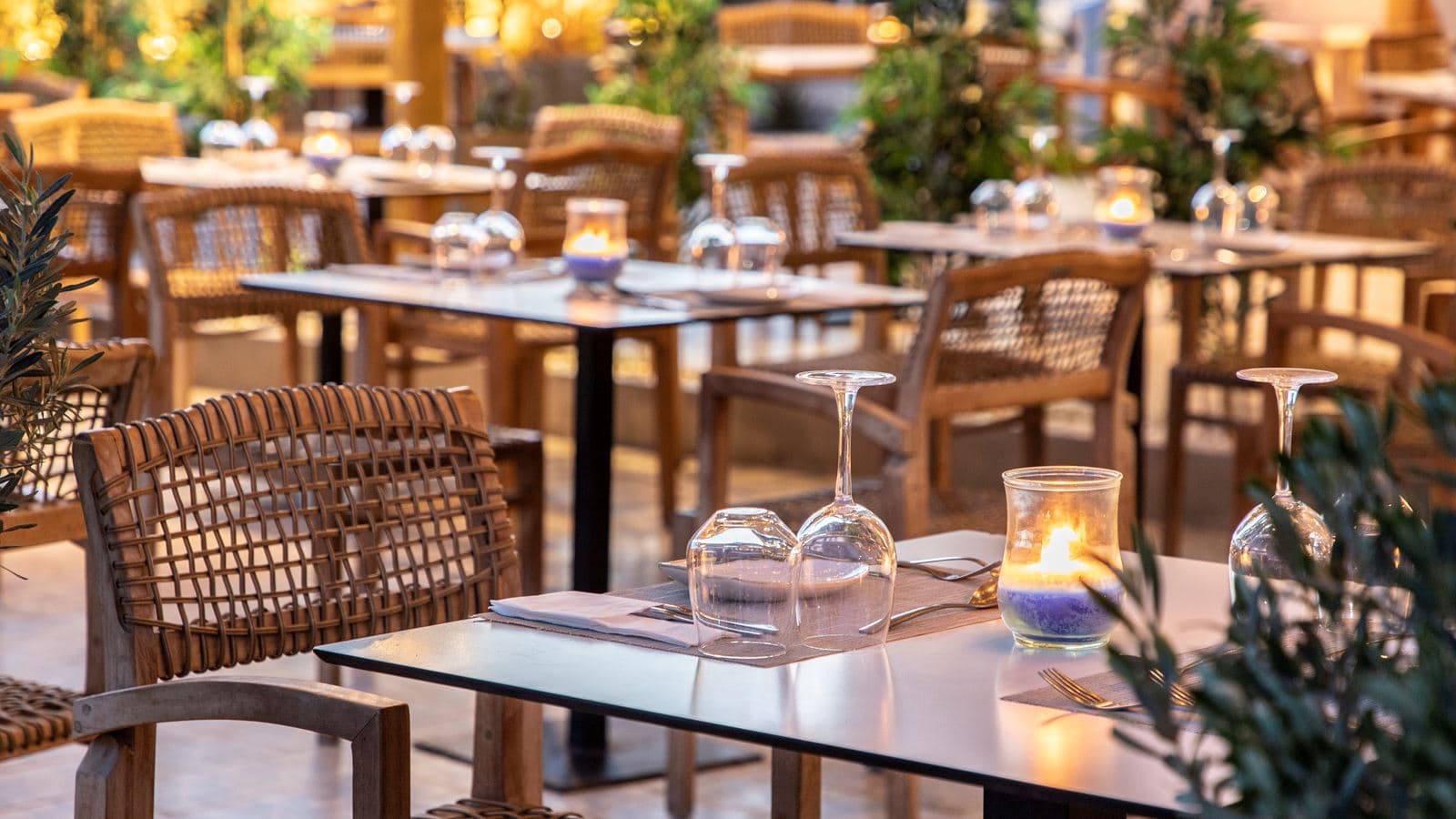 restaurants-meze