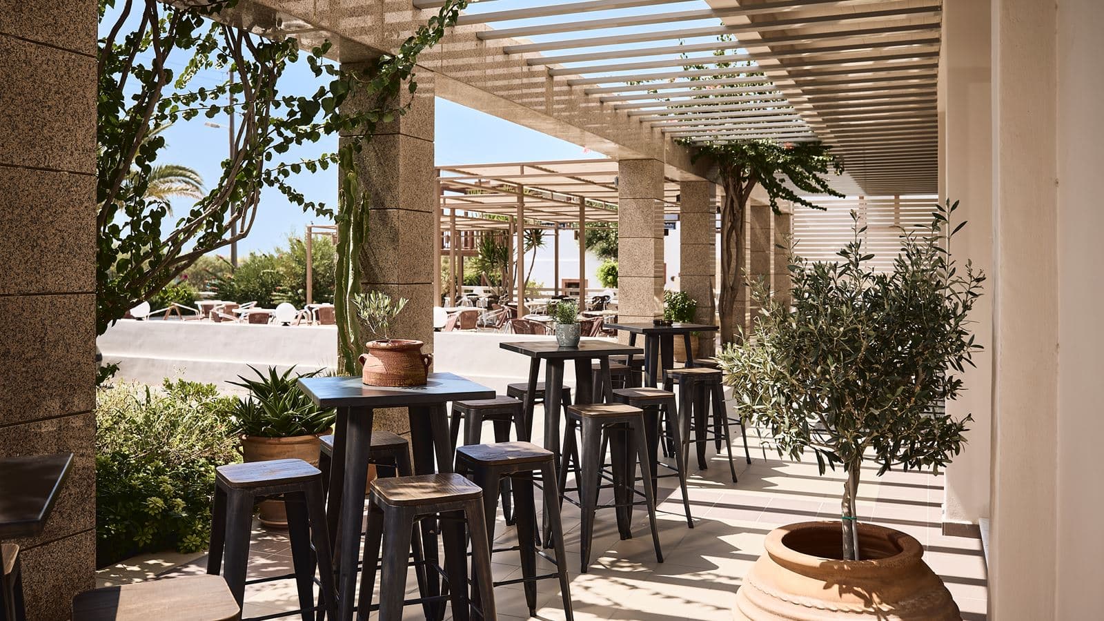 bars-main-bar